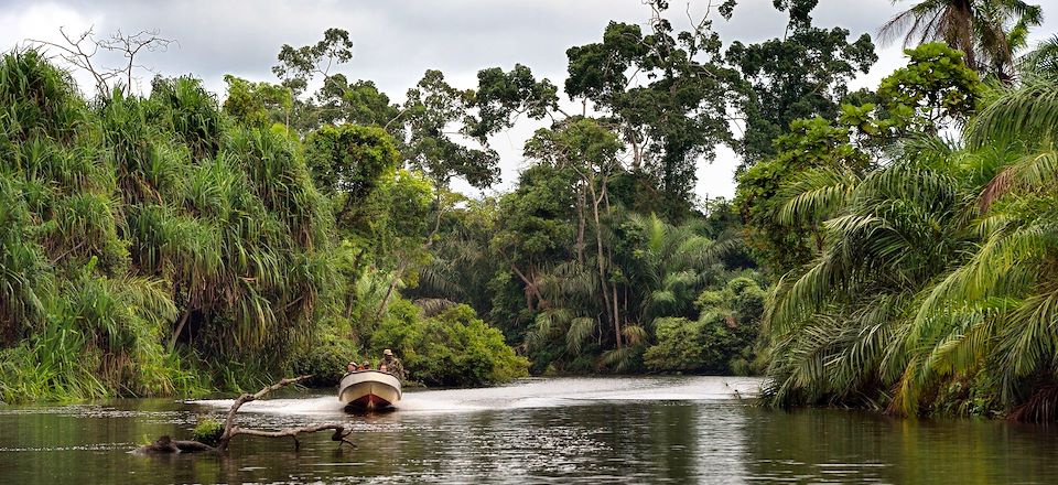 Safari au Gabon et trek gorilles, de Moukalaba-Doudou au Loango, avec exploration en pirogue, randonnée et bivouac en forêt