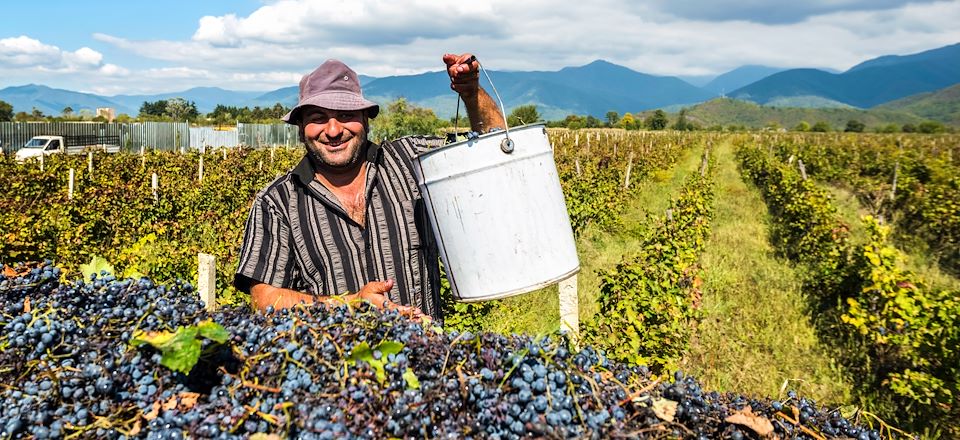 Une découverte culturelle et culinaire de la Géorgie, sur la route des vins et de la gastronomie. 