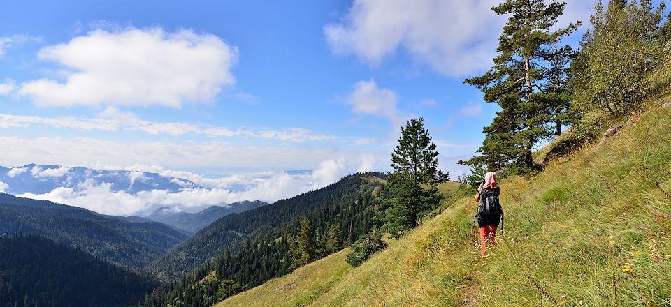 Randonnée à Borjormi en Géorgie dans le parc national de Kharagauli avec soins bien-être revigorants aux thermes de la région