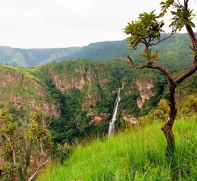 Randonnées au coeur du Ghana : Cascade de Wli, Lac Volta & villages agricoles