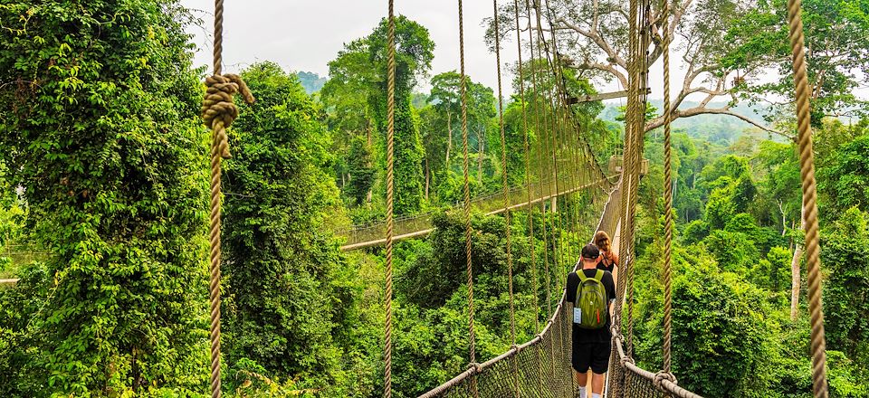 Découverte au rythme des paysages du Togo & du Ghana : forêt luxuriante, châteaux forts Tatas, observation animalière et canopée !