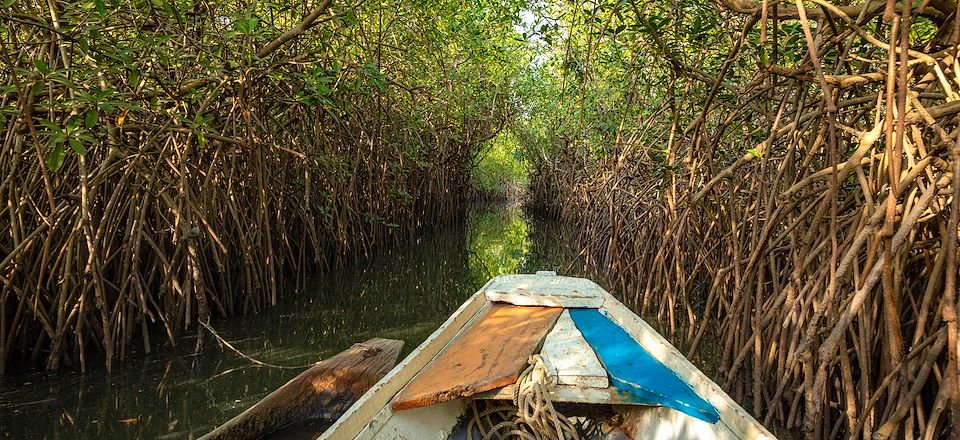 Un voyage immersif de la Gambie fluviale aux montagnes du Fouta Djalon, jusqu’aux plages des îles de Loos.