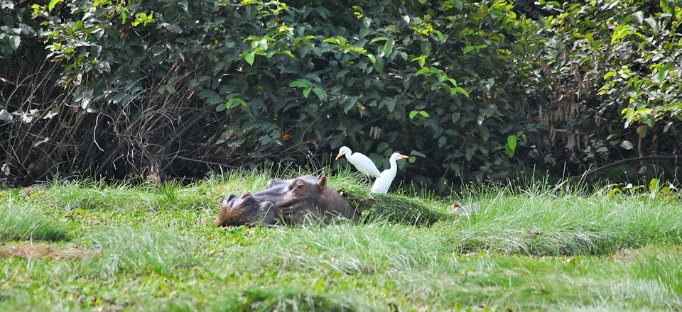 Odyssée d’île en île dans une nature préservée, sa faune riche, son peuple animiste