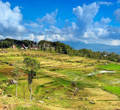 Incursion en Sulawesi du Sud et du centre, au fil des rencontres ethniques, de découvertes préhistoriques et paysages somptueux