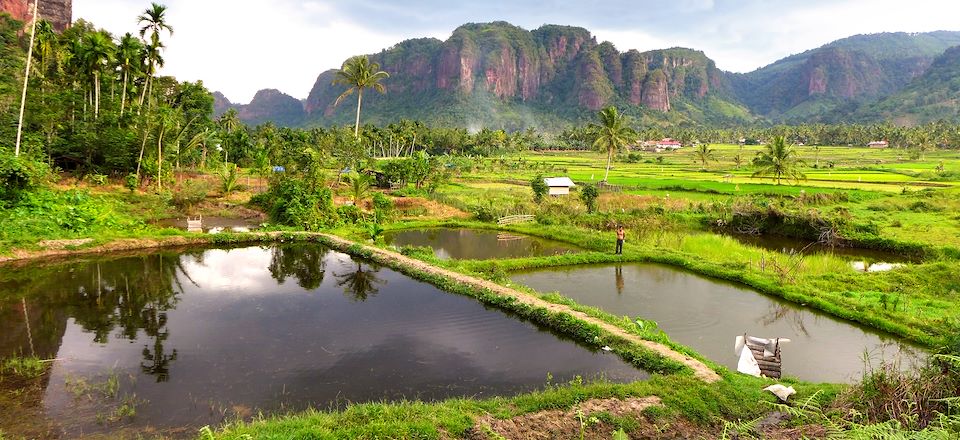 Rizières de la vallée d’Harau et lac Maninjau, Orang outans, Mont Sibayak et farniente sur la petite île Paradisiaque de Pulau Weh