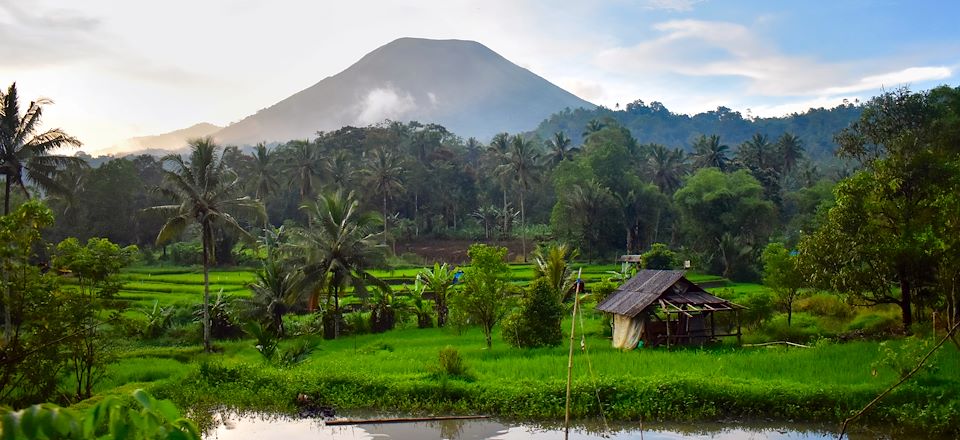 Voyage Nord Sulawesi, recifs de Lembeh, volcan Lokon, Vie locale à Tomohon, jungle et faune à Tangkoko, parc marin Bunaken