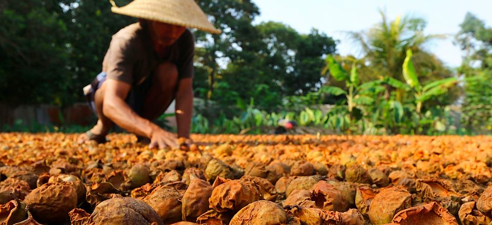 De Jakarta à Banda Neira : immersion olfactive dans l’histoire des épices, entre muscade, marchés colorés et saveurs indonésiennes