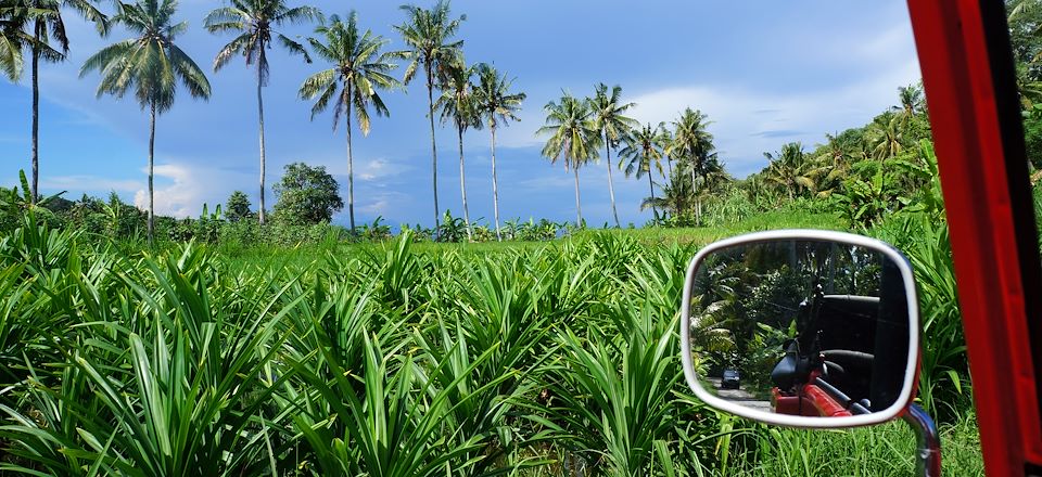 Découvrez Bali et Java en voiture ou bien en deux roues avec un GPS, via un itinéraire hors des sentiers battus.