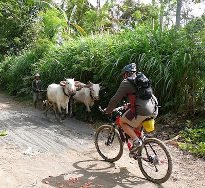 Découvrez Bali en vélo avec un gps pour un séjour inoubliable loin des foules touristiques!