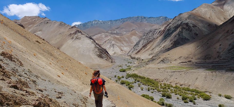 7 jours de trek avec guide après une acclimatation à Leh et la découverte des monastères de la Vallée de l'Indus en jeep. 