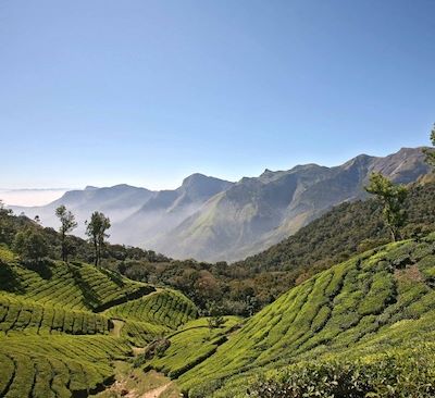 Le Kerala version trek, belle rando dans les plantations de thé et navigation sur les canaux