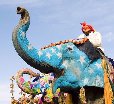 Voyage en famille au Rajasthan : palais, temples, éléphants & Taj Mahal