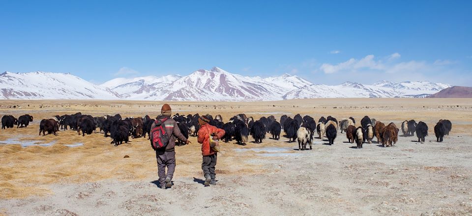 Trek guidé au cœur de l'Inde Himalayenne à la rencontre des nomades et visite des monastères bouddhistes