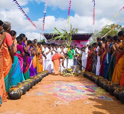 L'Inde en fête ! Participez au festival de Pongal au Tamil Nadu et au festival de Gajamela au Kerala