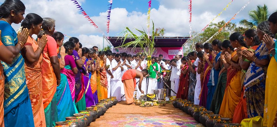 L'Inde en fête ! Participez au festival de Pongal au Tamil Nadu et au festival de Gajamela au Kerala