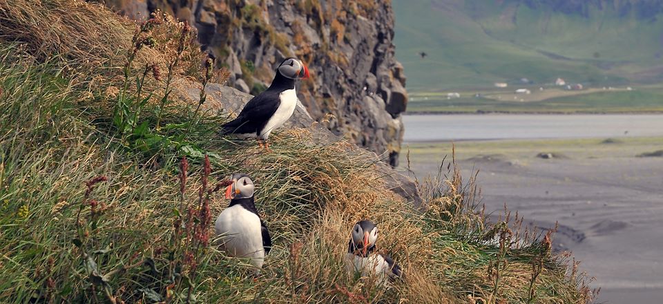Aventure en Islande à la découverte des merveilles naturelles du Sud en 4x4 et camping : Cercle d’or, Hekla, Laki, Skaftafell, Vík