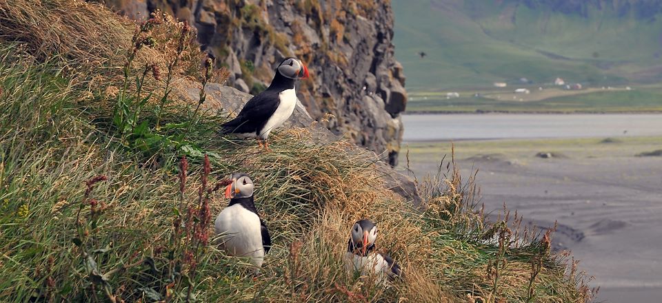 Voyage famille en Islande à la découverte des merveilles naturelles du Sud en autotour : Cercle d’or, Hekla, Laki, Skaftafell, Vík