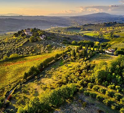 La Toscane à vélo, une aventure bas carbone à l'ombre des oliveraies, entre Pise et Florence, pour vivre la dolce vita italienne