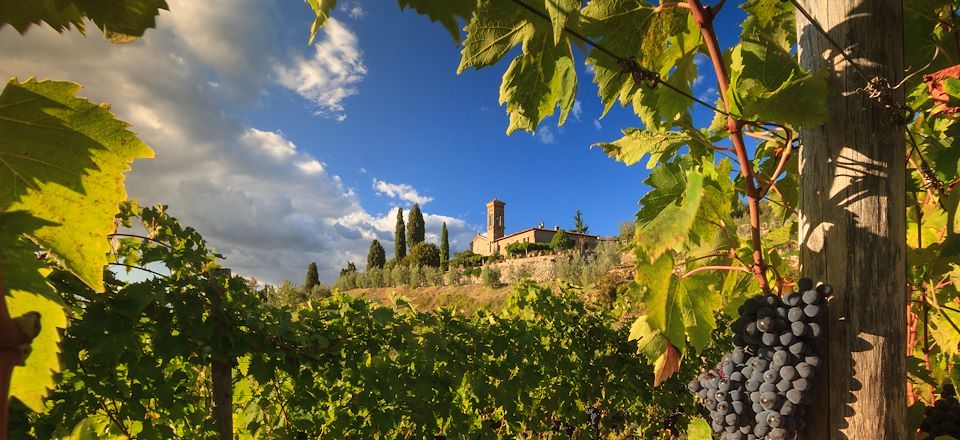 Un itinéraire d'exception en Val d'Orcia à base de randonnées, dégustations de vins et détente thermale à Chianciano