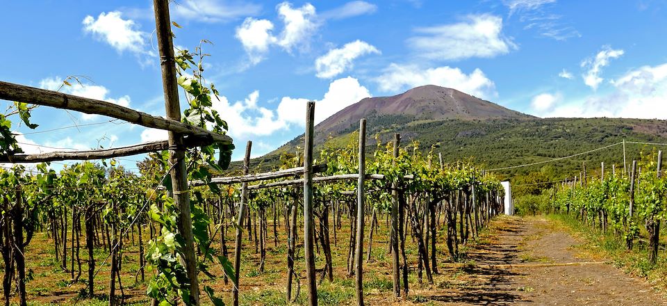 Itinéraire d'exception pour une savoureuse découverte des vins et volcans à Naples et en Sicile en compagnie de Charles Frankel