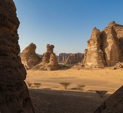 Exploration combinée de la Jordanie et de l'Arabie Saoudite : Du Wadi Rum à la Découverte des cités nabatéennes, Pétra et  Hégra