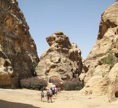 Rando-confort en Jordanie avec visite des sites antiques : Madaba, Mont Nébo, Jerash, la mer Morte, Pétra, le Wadi Rum 