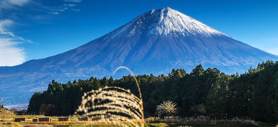 Traversée de la Corée et incontournables du Japon, Kyoto, Nara, Mont Fuji, Nikko et Tokyo en mode confort et  tranquille
