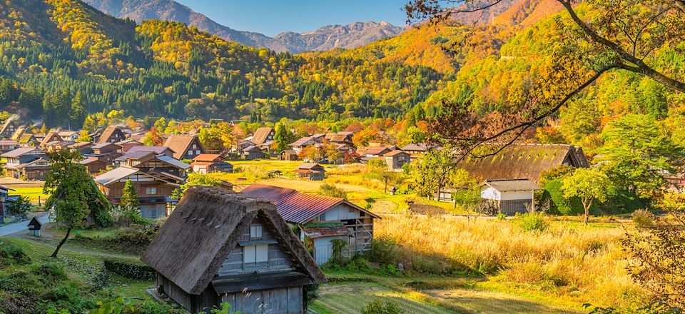 Voyage combiné en transports locaux et en camping car, à la découverte de la Golden Road et des Alpes Japonaises