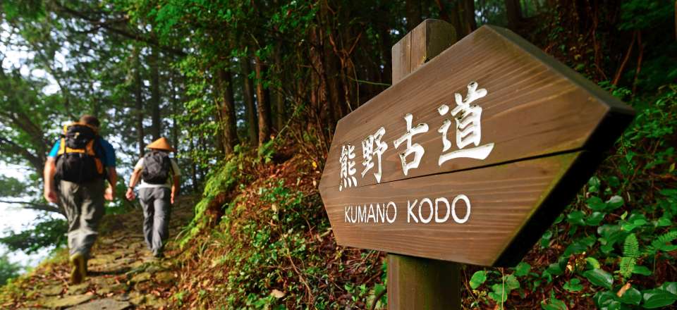 Après la visite de Kyoto, partez sur les traces des pèlerinages du Kumano Kodo et de Shikoku avec des randonnées en toute liberté.