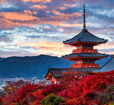 Découverte de Kyoto, Tokyo, Mont Koya et trésors des Alpes japonaises  