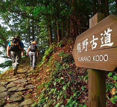 Après la visite de Kyoto, partez sur les traces des pèlerinages du Kumano Kodo et de Shikoku avec des randonnées en toute liberté.
