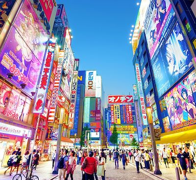 Voyage manga au Japon : Culture pop nippone, manga et films d'animation, châteaux majestueux au programme