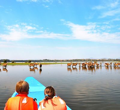 Safaris en 4X4, à pied et en bateau dans les parcs du Lac Nakuru, d'Amboseli et de Naivasha et plages de Diani 