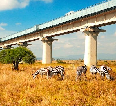 Empruntez le train local kenyan pour sortir de la capitale et rencontrez votre guide pour un safari  à Tsavo et à Amboseli 