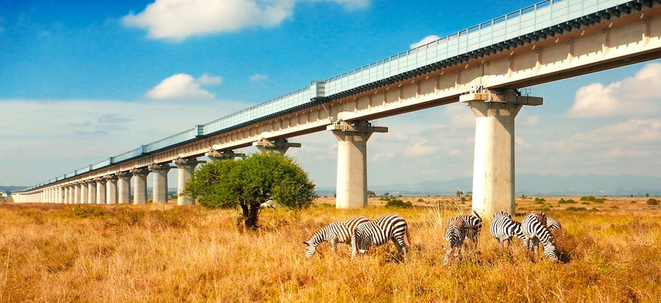 Empruntez le train local kenyan pour sortir de la capitale et rencontrez votre guide pour un safari  à Tsavo et à Amboseli 