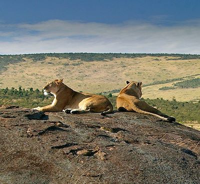 Autotour et safari en 4x4 avec tente de toit, d’Amboseli au Masai Mara, via le lac Nakuru et Hell's Gate dans la vallée du Rift.