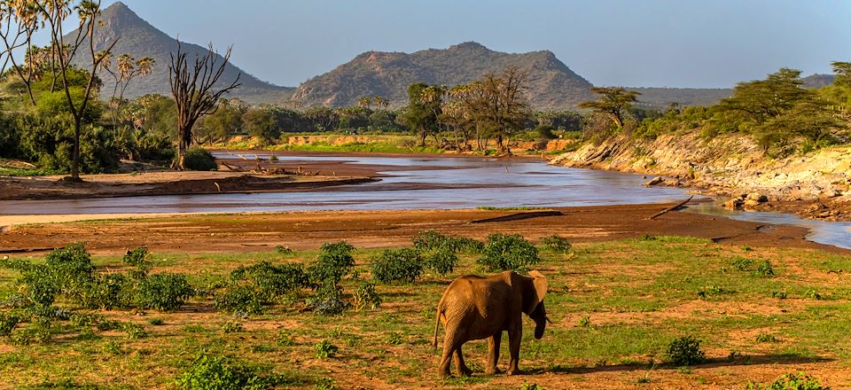 Safari à Samburu au Kenya en privatif, avec visite d'Ol Pejeta et découverte du Masai Mara et du Lac Nakuru