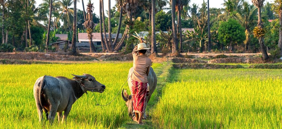 Circuit au Cambodge hors des sentiers battus à travers Mondolkiri et Ratanakiri, visites incontournables et nuits chez l'habitant