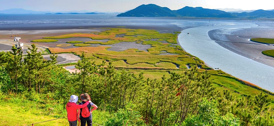 Voyage combiné en transports locaux, des incontournables de la Corée du Sud à la découverte du Japon, entre tradition et modernité