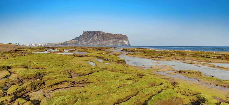 Best of sud coréen et découverte de l’île de Jeju : entre nature, culture et traditions, dans un pays en pleine mutation !