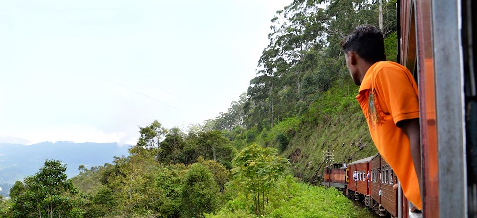 Découverte du Sri Lanka, entre trajet insolite en train, site majestueux, safari et nuit au monastère bouddhiste.