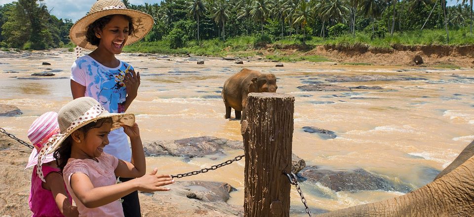 Tous les incontournables du Sri Lanka en famille de la mer à la montagne ! Knuckles Range, Sigiriya, Kandy, Mirissa