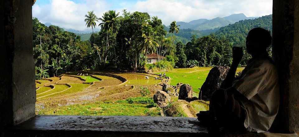 Circuit de 15 jours au Sri Lanka avec chauffeur/accompagnateur : sites culturels, randos, nuits atypiques, safari et plages du sud