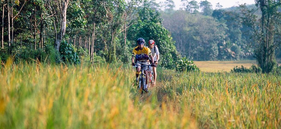 Découverte du Sri Lanka en VTT et à pied. Entre Sigirîya, Polonnaruwa, Kandy, Galle et Mirissa... 