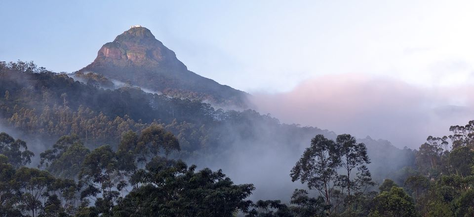 Randonnée au Sri Lanka : Ascension de l'Adam's Peak, région des plantations de thé, Mont Knuckles, Horton plains et plages du sud