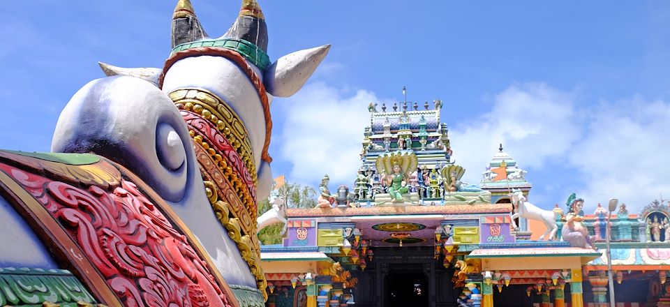 Découverte du Nord avec Jaffna, Anuradhapura, de la région montagneuse des Knuckles et des plages tranquilles de Trincomalee