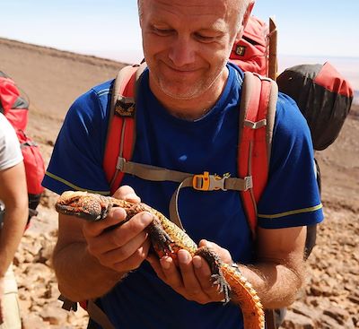 Stage de survie au Maroc avec un guide spécialiste pour s’initier aux techniques de survie des Berbères dans le désert… 