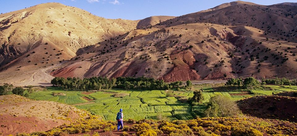 Randonnée en boucle au cœur de la vallée des roses, entre cultures et vergers, le long des gorges de l’Oued M’Goun. 