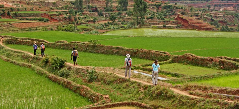 Visite des plus beaux sites du pays avec les Tsingy de l'Ankarana, la baie de Diego Suarez, la fameuse N7 et le massif d'Isalo