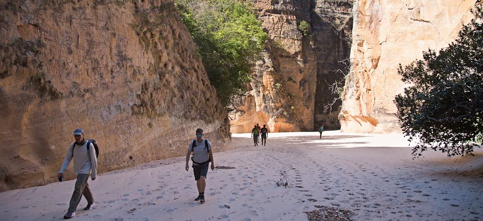 Découverte complète du sud malgache avec Antsirabe, le massif d'Isalo, Fianarantsoa et randonnée dans le massif du Makay